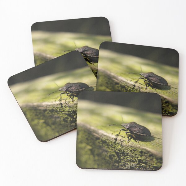Item preview, shield bug in a green world designed and sold by Melodie Maker art.