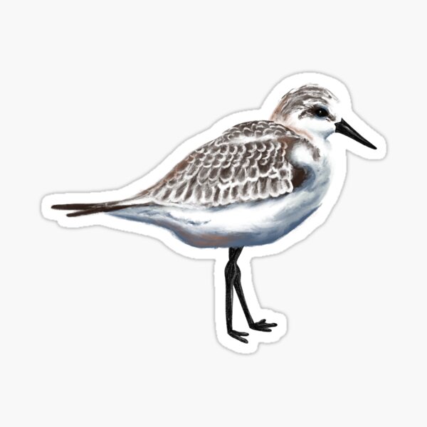 Item preview, Sand Piper designed and sold by Christian  Krabbe.