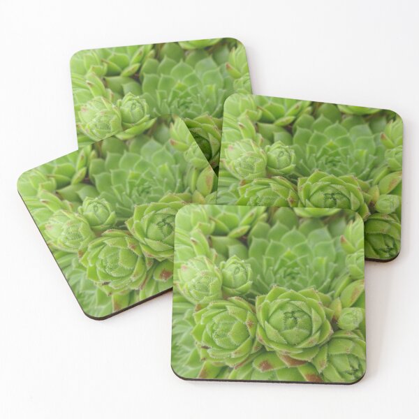 Item preview, Succulents designed and sold by Sabrina Kalmans.
