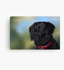 Black Lab - Dog Portrait Canvas Print