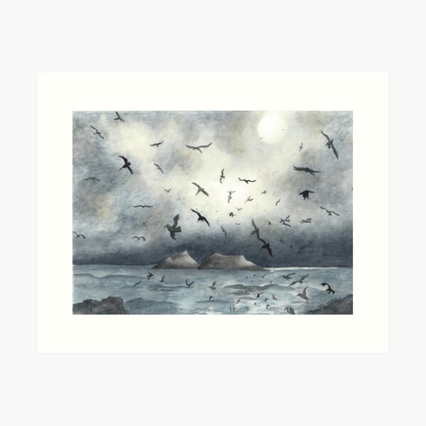 "Birds at Sutro Baths" Art Print