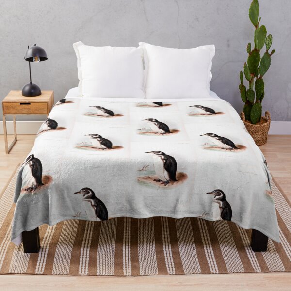 Item preview, Antique Bird Print Penguin Wall Art designed and sold by simpson92.