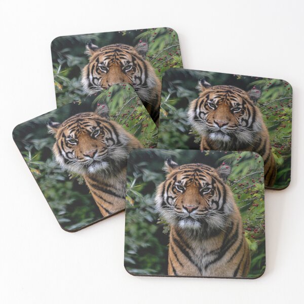 Item preview, Beautiful Tiger  designed and sold by chloerhianphoto.