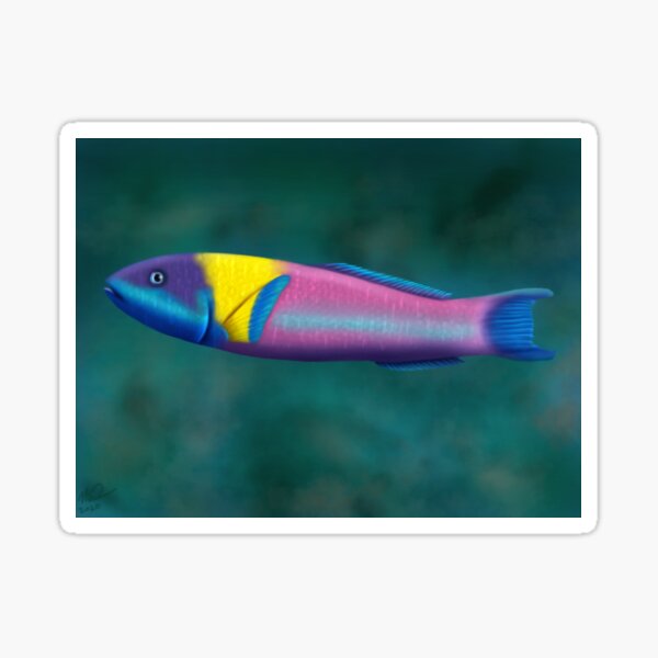 Rainbow Wrasse Sticker