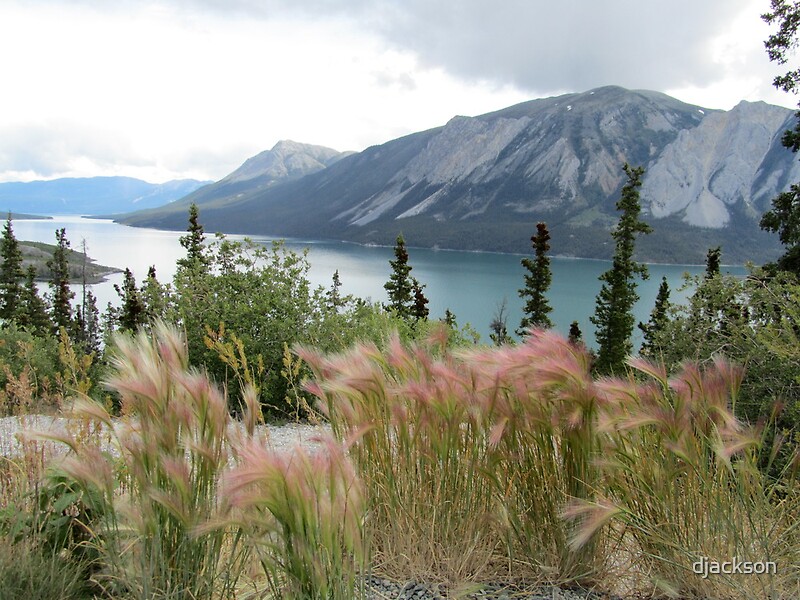 giant yukon blue book