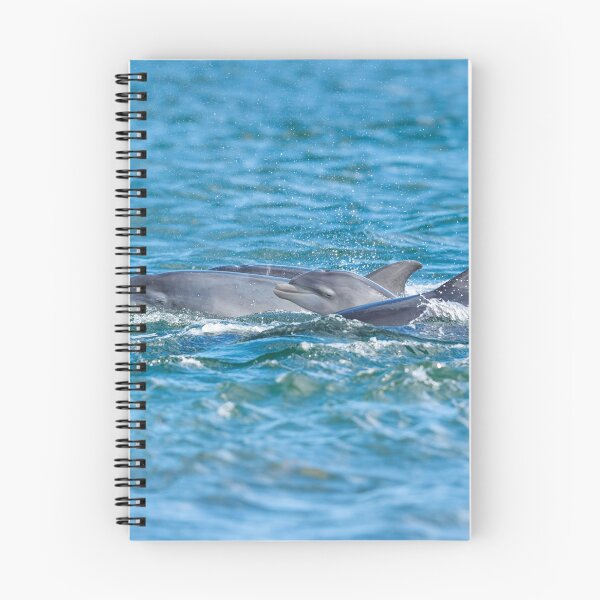 Item preview, dolphin calf designed and sold by chanonry.
