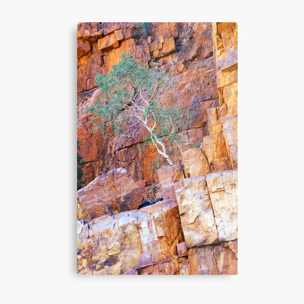 Against the Odds Metal Print