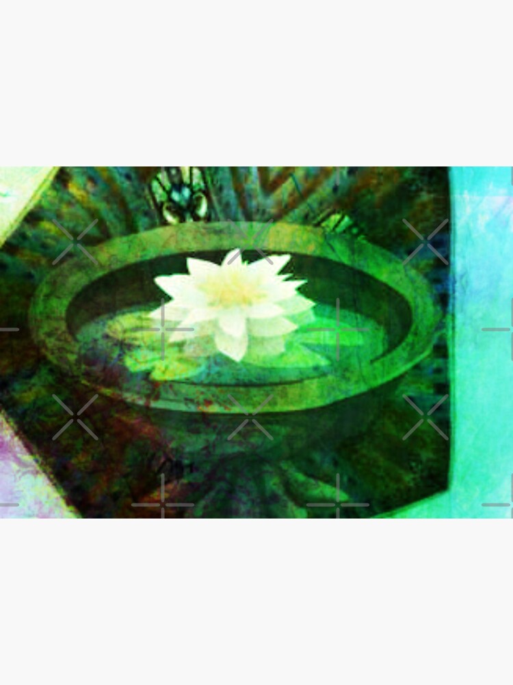 "Water lily bird bath" Sticker for Sale by KarenColville1 Redbubble