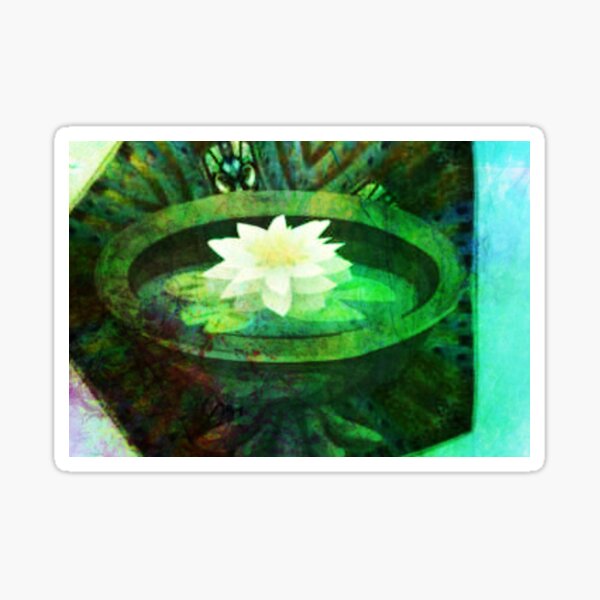 Water lily bird bath Sticker