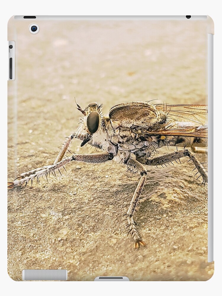 Coque Et Skin Adhesive Ipad Insecte Volant Par Rlguieb Redbubble