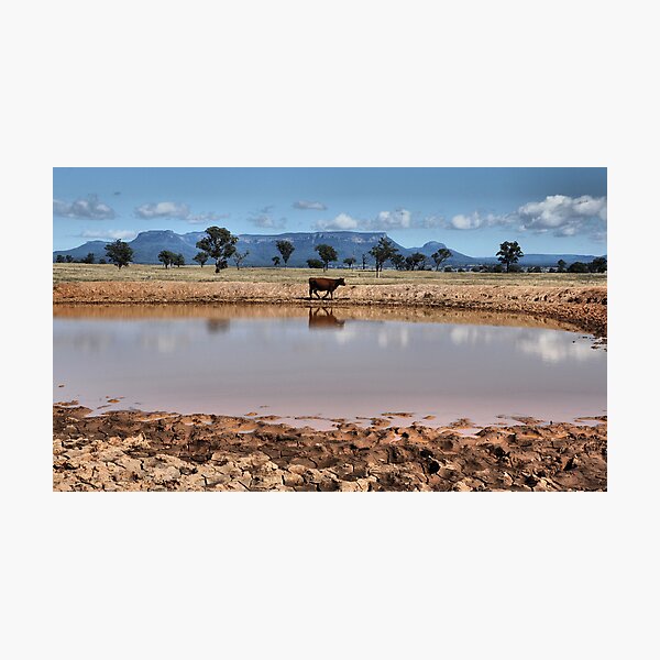 Capertee Billabong - NSW Australia Photographic Print