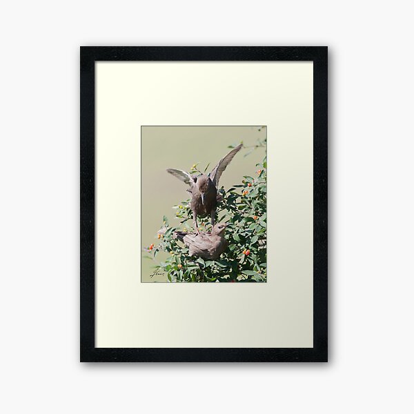 Item preview, A Star 't' ling Landing designed and sold by DigitallyStill.