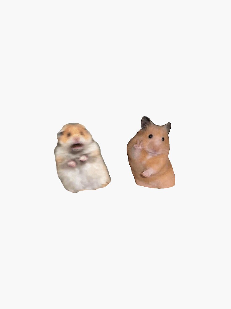 hamster meme Sticker for Sale by dtscott19