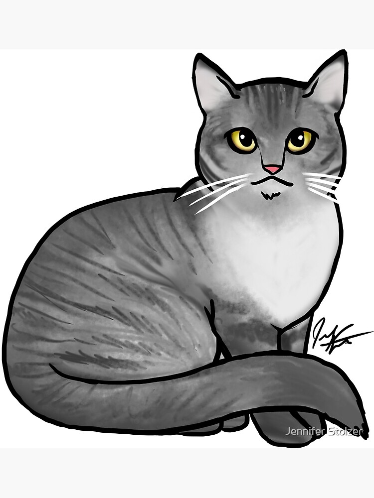 british-shorthair-gray-tabby-cat-poster-for-sale-by-jameson9101322