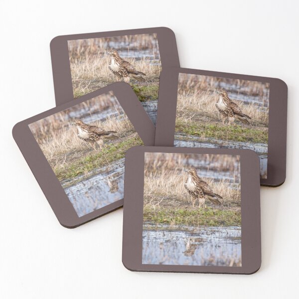 Item preview, Hawk  designed and sold by CarolM.