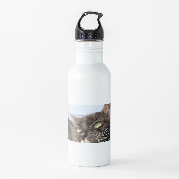 Tuxedo Cat with Sparkling Eyes Water Bottle