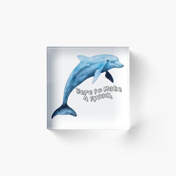 Here To Make A Splash Dolphin Acrylic Block