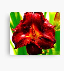Garnet Beauty Canvas Print