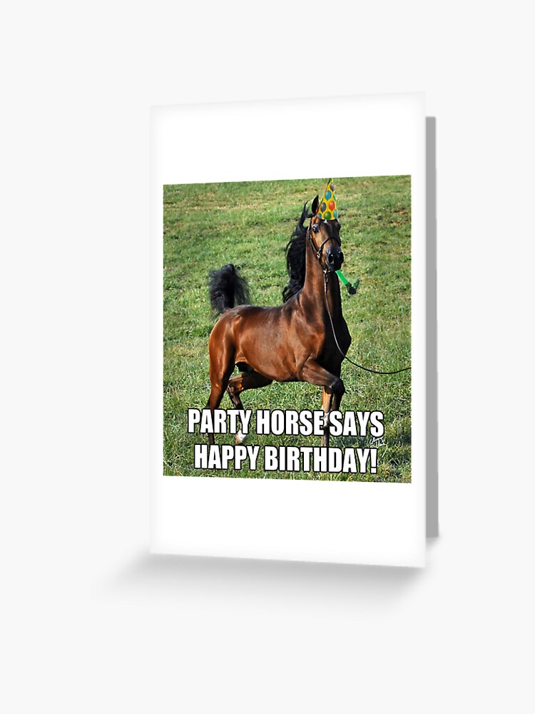 Carte De Vœux Cheval Joyeux Anniversaire Par Masoncarr2244 Redbubble