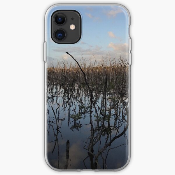 Mangrove Guanacaste, Costa Rica iPhone Soft Case