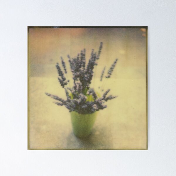 Item preview, Nature Morte designed and sold by Jill Auville.