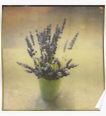 Nature Morte Poster