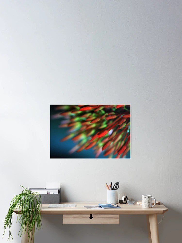 Thumbnail 2 of 3, Poster, Fiery designed and sold by Ravi Ghattamaneni.