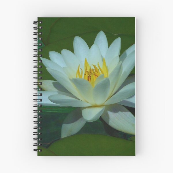 Item preview, Quiet Beauty - White and Gold Water Lily designed and sold by BlueMoonRose.