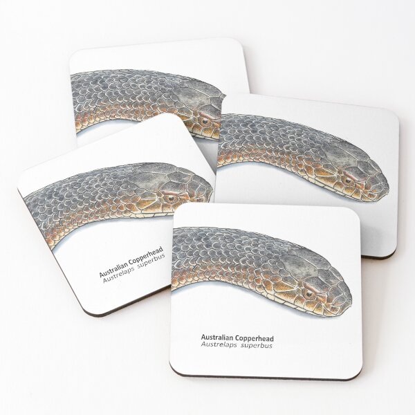 Item preview, Aussie Copperhead designed and sold by SnakeArtist.