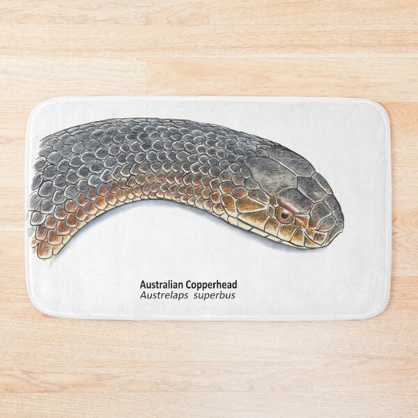 Item preview, Aussie Copperhead designed and sold by SnakeArtist.