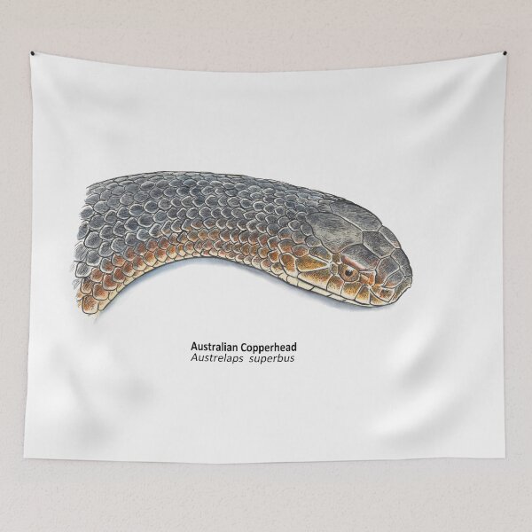 Item preview, Aussie Copperhead designed and sold by SnakeArtist.