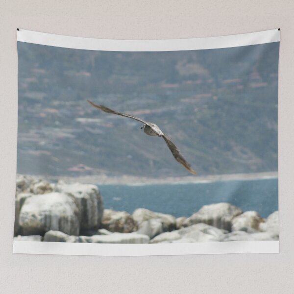 Item preview, Let's Coast; Manhattan Beach, CA USA, Lei Hedger Photography designed and sold by leih2008.