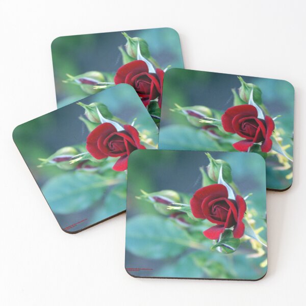 Item preview, Minature "RED" in bloom; Granada Hills, CA USA designed and sold by leih2008.