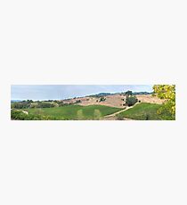 Vineyard Landscape Photographic Print
