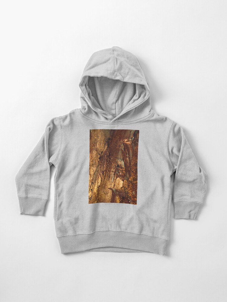 metallic gold hoodie