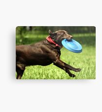 Nice Catch Metal Print