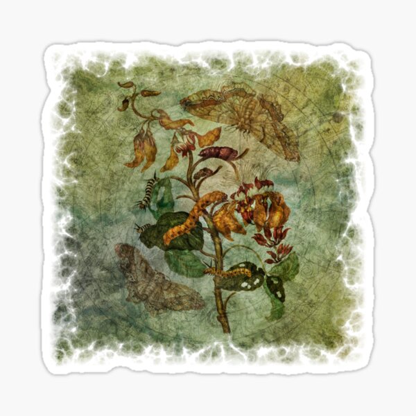 Botanica Malefactum 10 - Swamp Imortelle Sticker