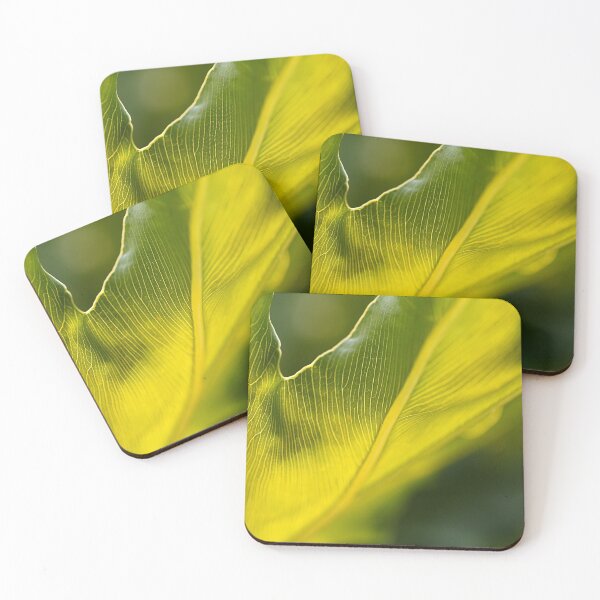Item preview, Monstera Deliciosa Leaf Art designed and sold by Joy Watson - Natural Light Photography .