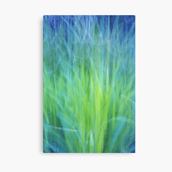 nature orgasm Canvas Print