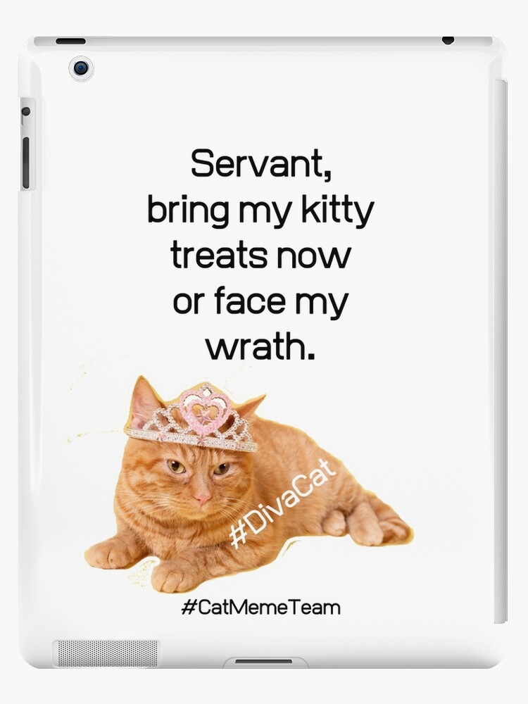 DivaCat Funny Cat Meme Funny Cat Quotes DivaCat Funny Cat Meme Funny Cat Quotes