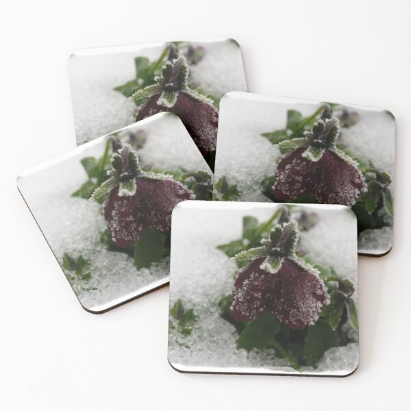 Item preview, Burgundy pansy designed and sold by feiermar.