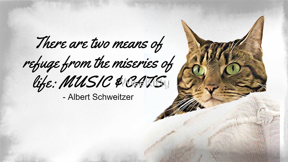 Music And Cats Albert Schweitzer Quote Tabby Cat With Green Eyes Digital Art By Wisekitty Redbubble