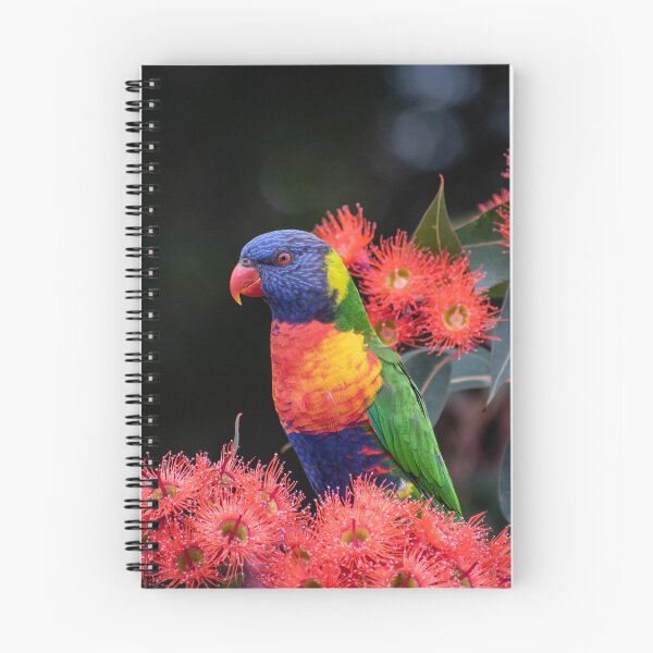 Item preview, Rainbow Lorikeet designed and sold by Gabrielle Pattenden.