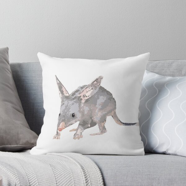 Item preview, Greater Bilby Macrotis lagotis by Chrissy Wild on white designed and sold by ChrissyWild.