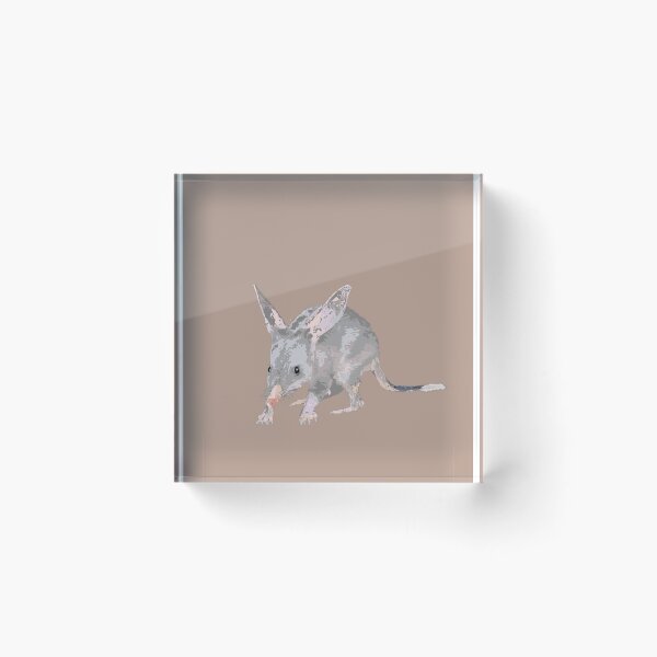 Item preview, Greater Bilby Macrotis lagotis by Chrissy Wild on Beige designed and sold by ChrissyWild.