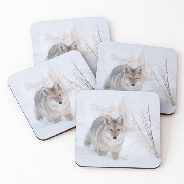 Item preview, Coyote in Snow at Yellowstone NP designed and sold by TheCurators.