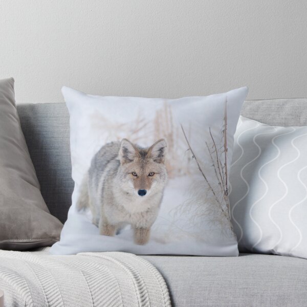 Item preview, Coyote in Snow at Yellowstone NP designed and sold by TheCurators.