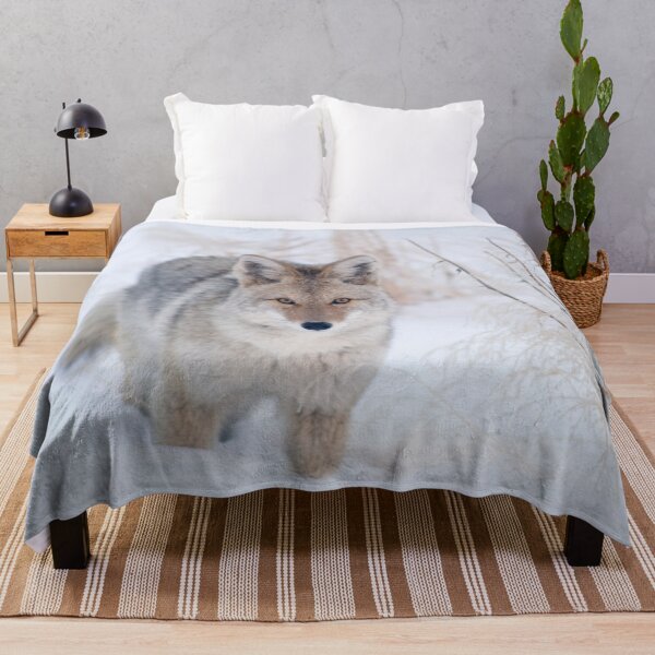 Item preview, Coyote in Snow at Yellowstone NP designed and sold by TheCurators.