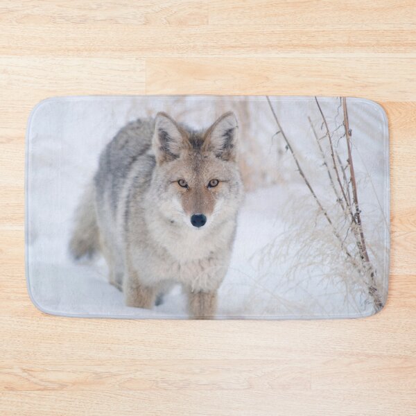 Item preview, Coyote in Snow at Yellowstone NP designed and sold by TheCurators.