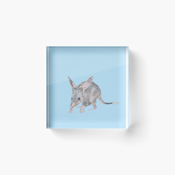 Item preview, Greater Bilby Macrotis lagotis by Chrissy Wild on Blue designed and sold by ChrissyWild.